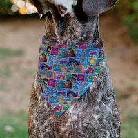 Pet Bandana - Disney Princess Pose and Quote Pop Art Blocks Multi Color