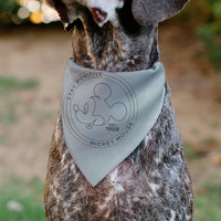 Pet Bandana - Mickey Mouse STAY POSITIVE Line White/Multi Color