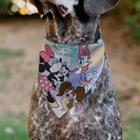 Pet Bandana - Minnie Mouse and Daisy Duck with Figaro and Fifi FRIENDS FUR-EVER Multi Color