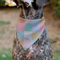 Pet Bandana - Minnie Mouse and Daisy Duck with Figaro and Fifi FRIENDS FUR-EVER Multi Color