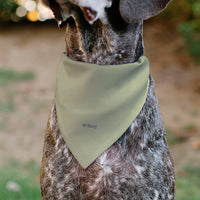 Pet Bandana - Rapunzel NEVER STOP EXPLORING Castle Pose Beige/Red/White