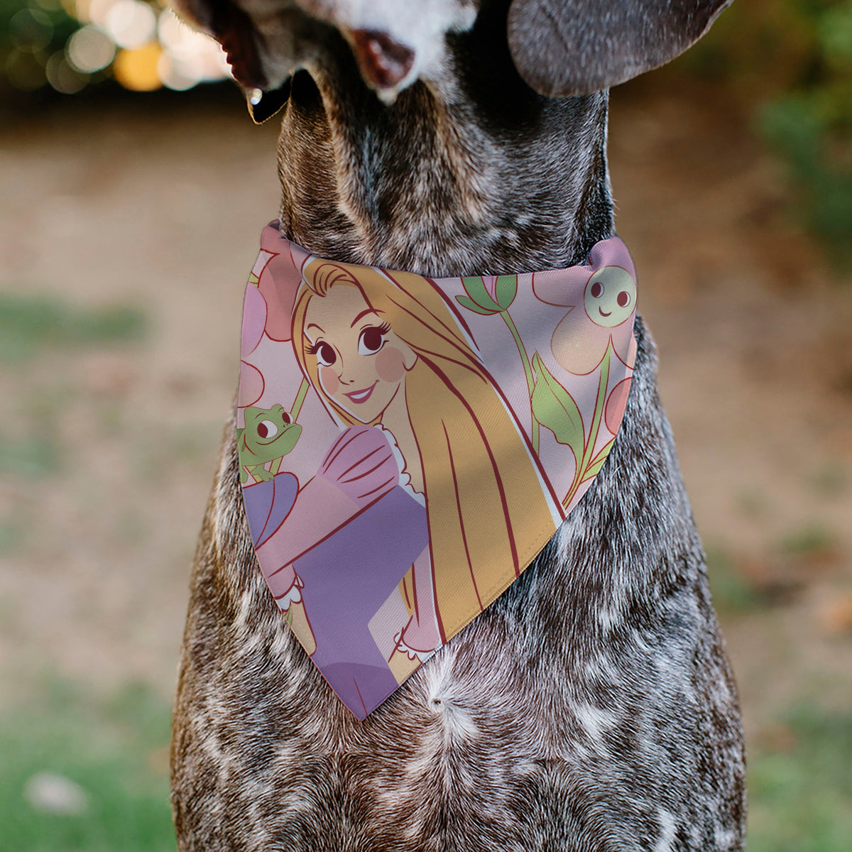 Pet Bandana - Tangled Rapunzel and Pascal Flowers Pose Pinks