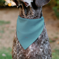 Pet Bandana - Snow White SWEET NATURED Pose Blue