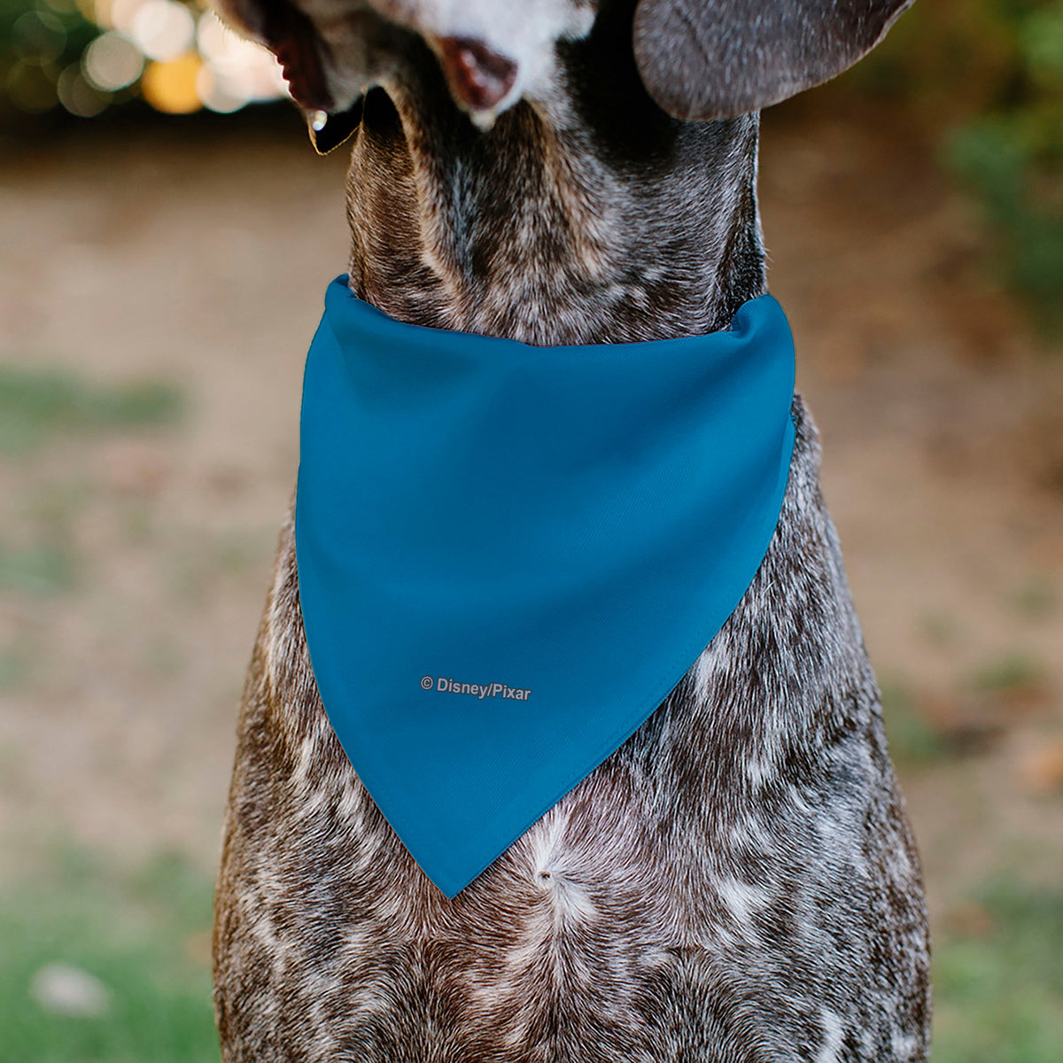 Pet Bandana - Toy Story Woody Pop Art Face Close-Up Blues