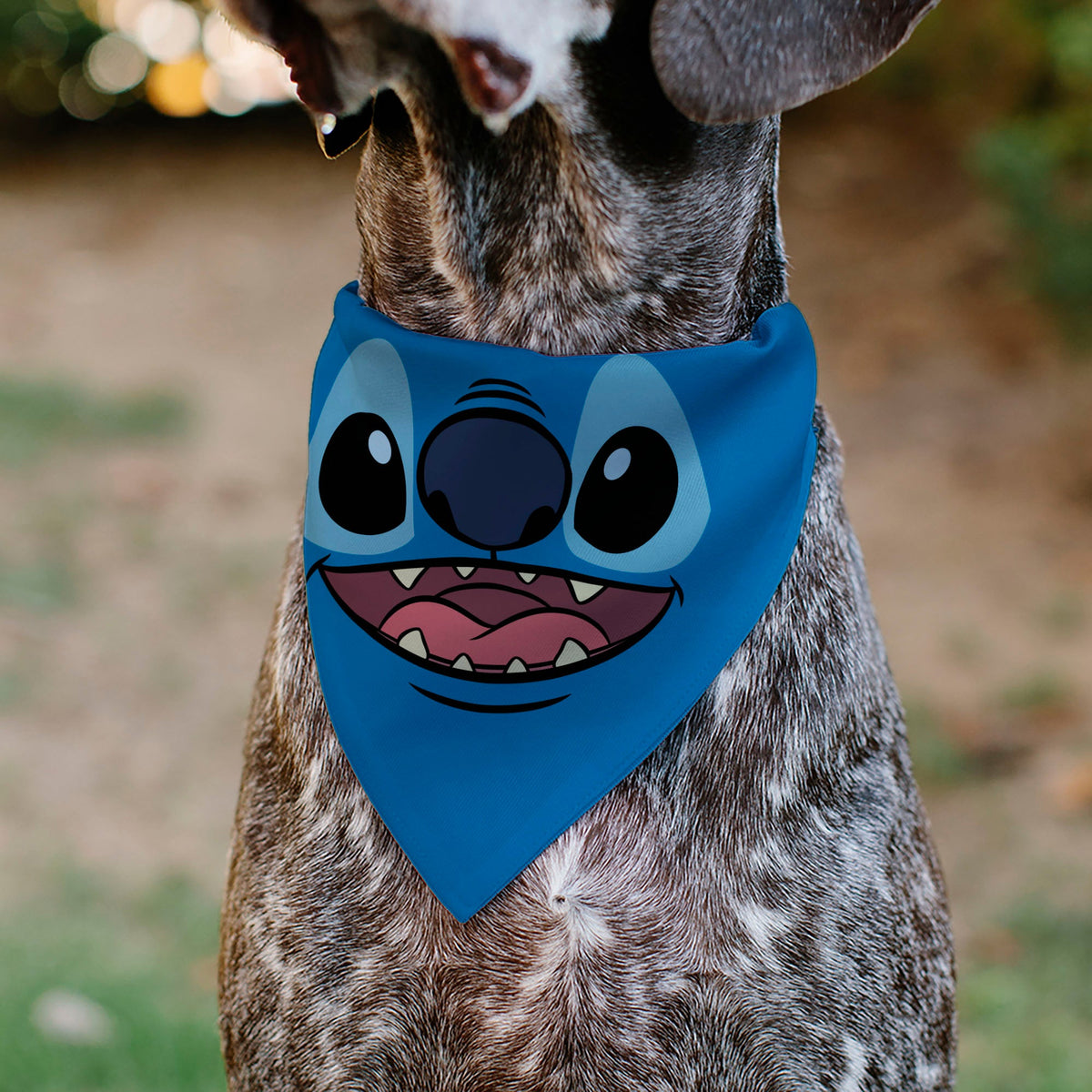Pet Bandana - Stitch Smiling Face Character Close-Up Blues