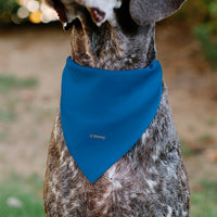 Pet Bandana - Stitch Smiling Face Character Close-Up Blues