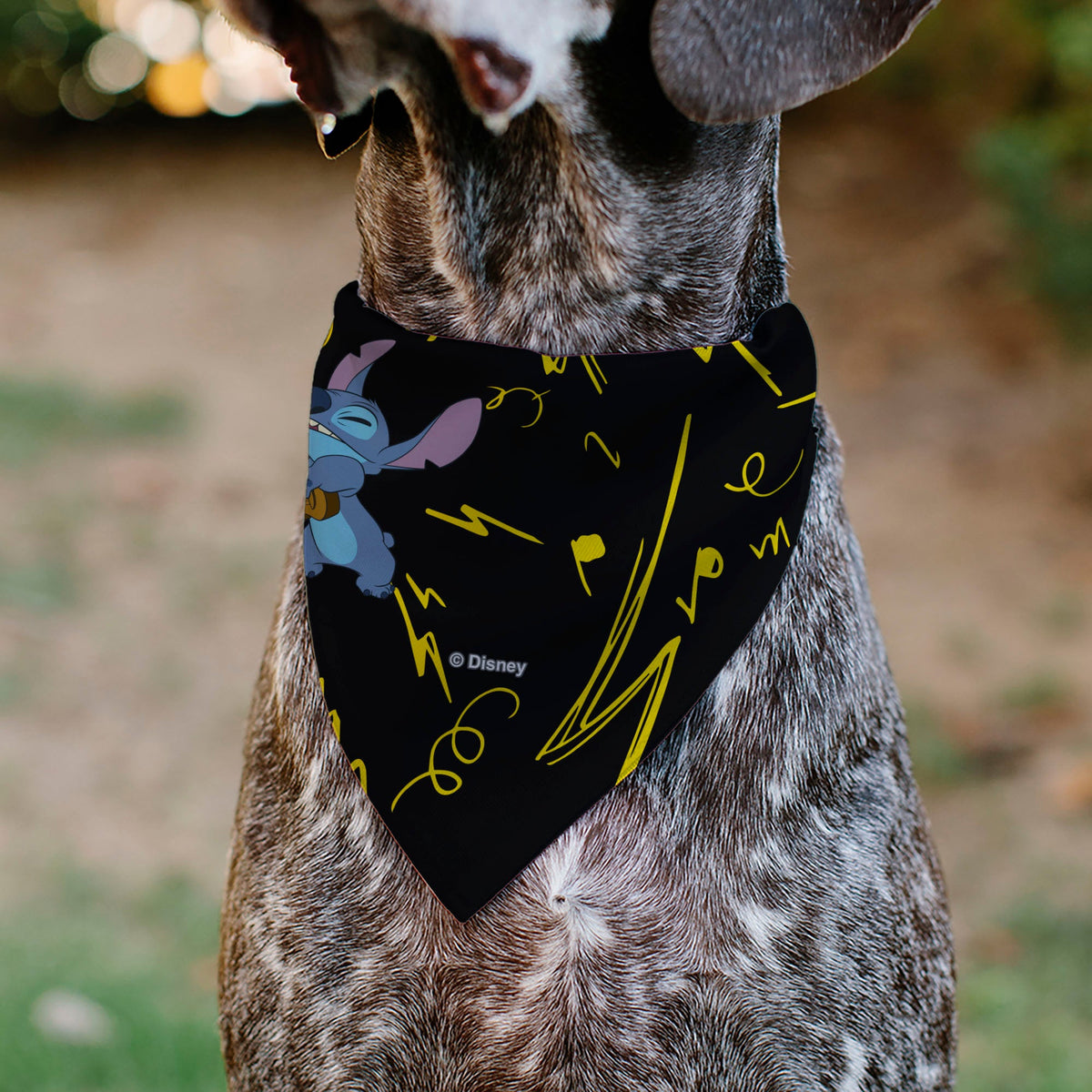 Pet Bandana - Stitch and Scrump Ukulele Jam Pose Black/Yellow