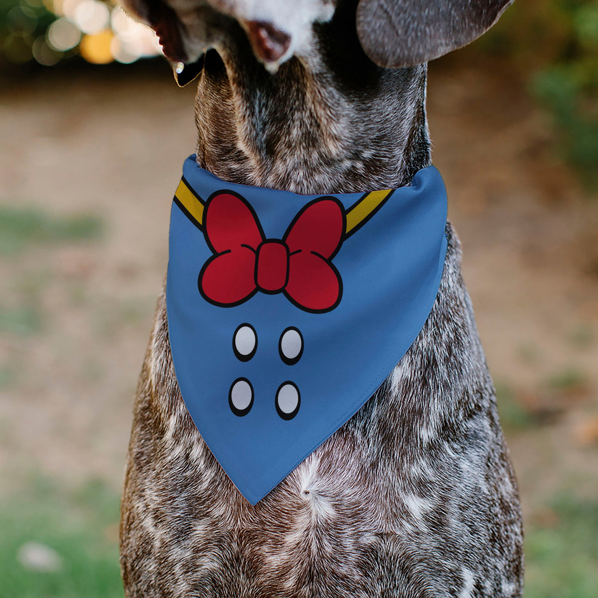 Pet Bandana - Donald Duck Sailor Suit Chest