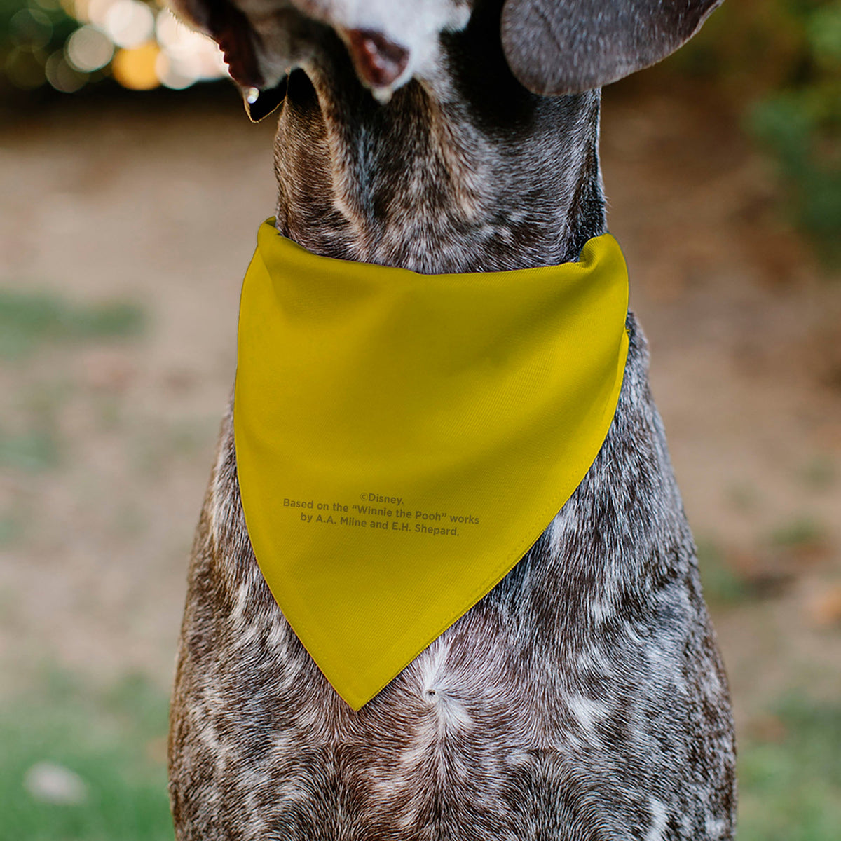 Pet Bandana - Winnie the Pooh Winking Smiling Face Golden Yellow