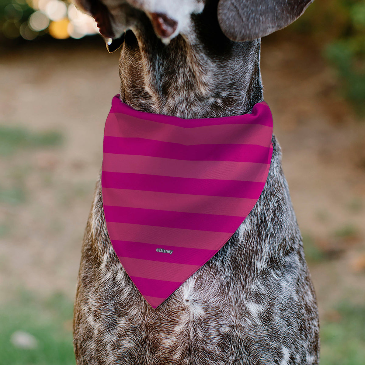 Pet Bandana - Alice in Wonderland Cheshire Cat Winking Smile Pinks
