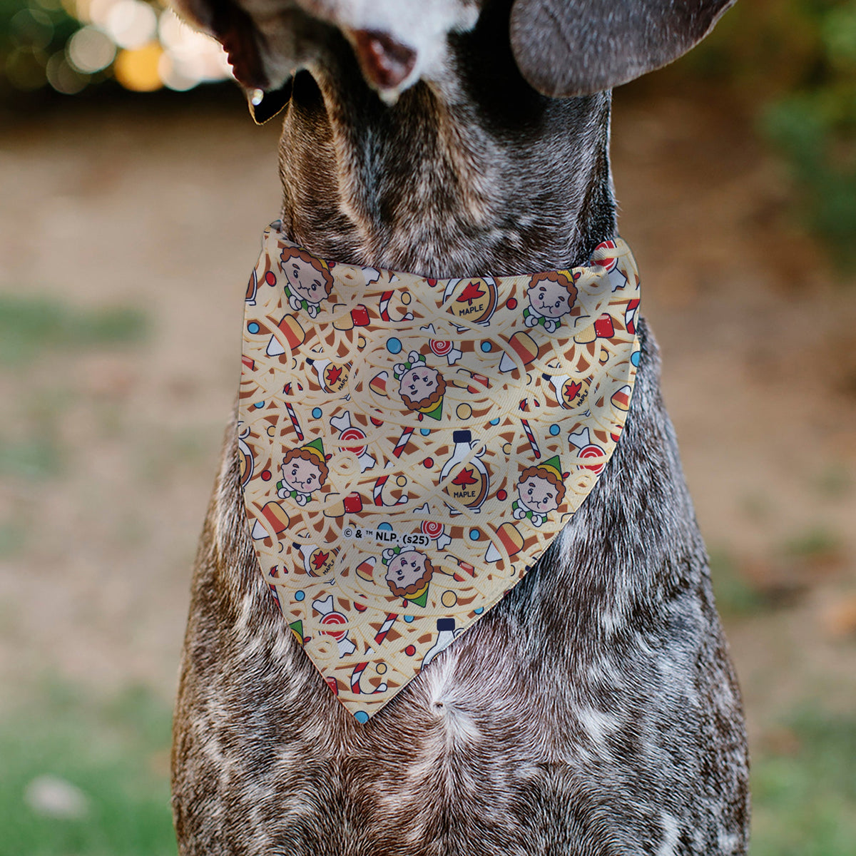 Pet Bandana - Elf TREAT EVERYDAY LIKE CHRISTMAS Buddy and Friends Pose Blue
