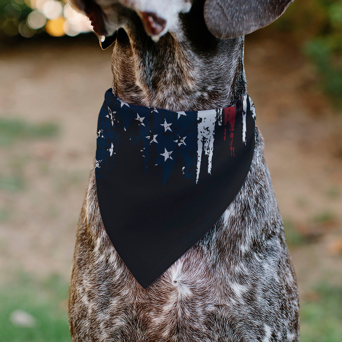 Pet Bandana - Ford BRONCO Americana Stars and Stripes Weathered Red/White/Blue