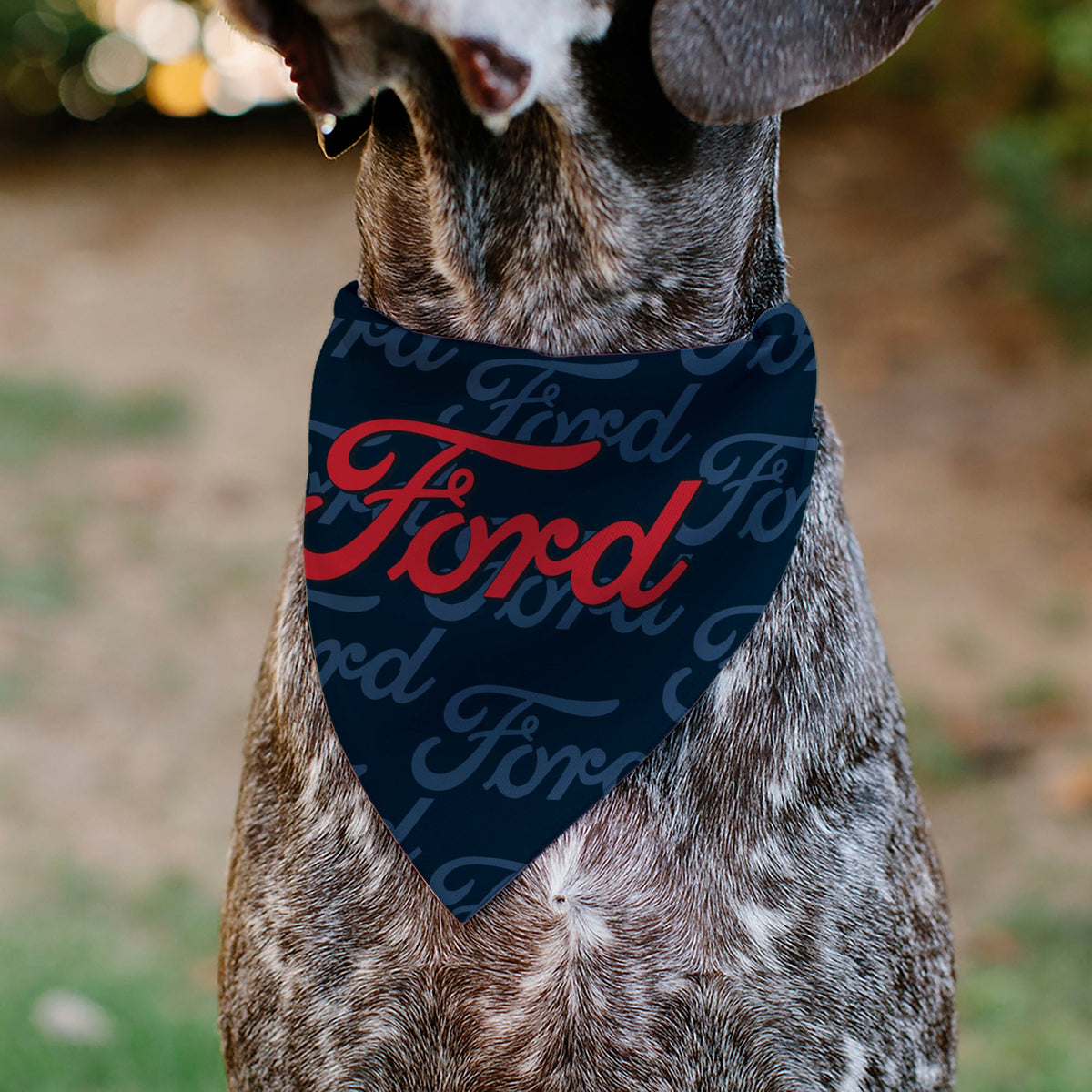 Pet Bandana - FORD Script Stacked Blues/Red