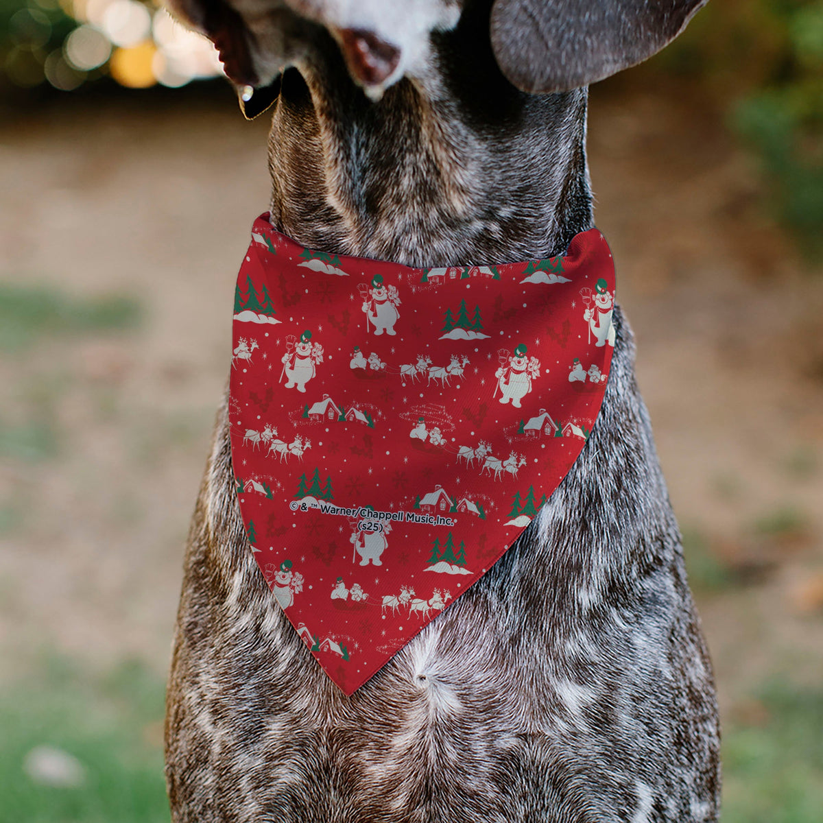 Pet Bandana - FROSTY THE SNOWMAN and Karen Pose and Title Logo Red/White/Green