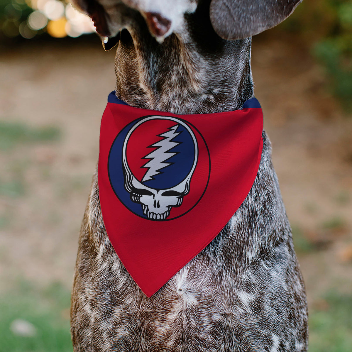 Pet Bandana - Grateful Dead Steal Your Face Logo Centered Red and Blue