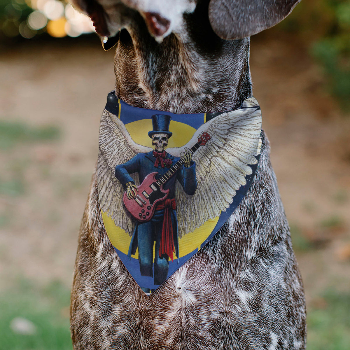Pet Bandana - Grateful Dead Dave's Picks Volume Six San Francisco and St. Louis Skeleton Cover Art