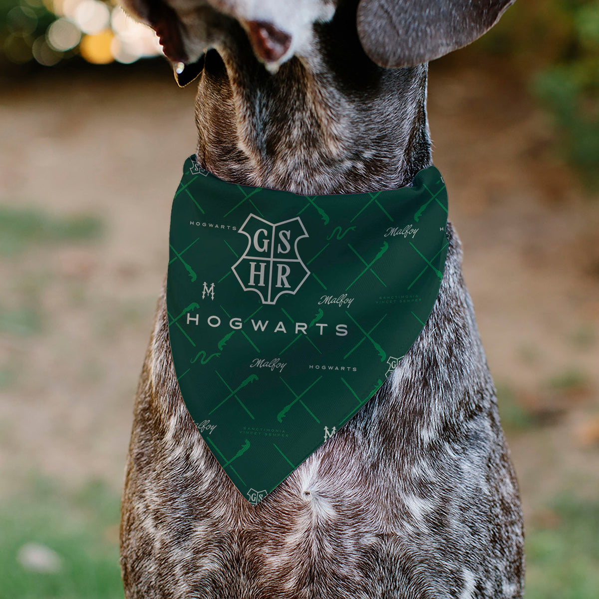 Pet Bandana - HOGWARTS MALFOY Monogram Icons Greens/White
