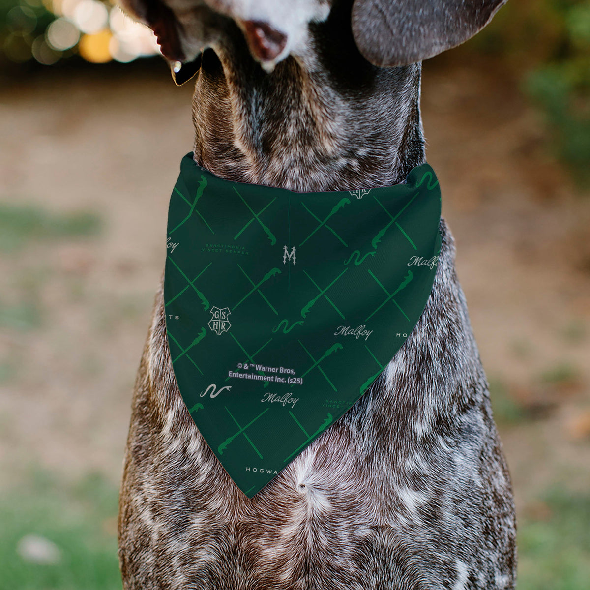 Pet Bandana - HOGWARTS MALFOY Monogram Icons Greens/White
