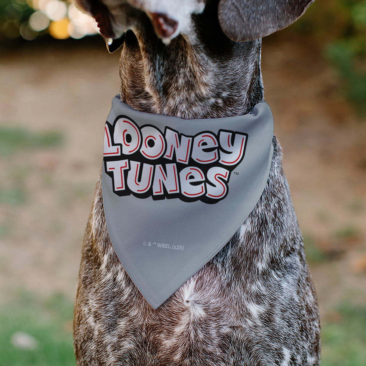 Pet Bandana - LOONEY TUNES Bugs Bunny Face Close-Up Gray
