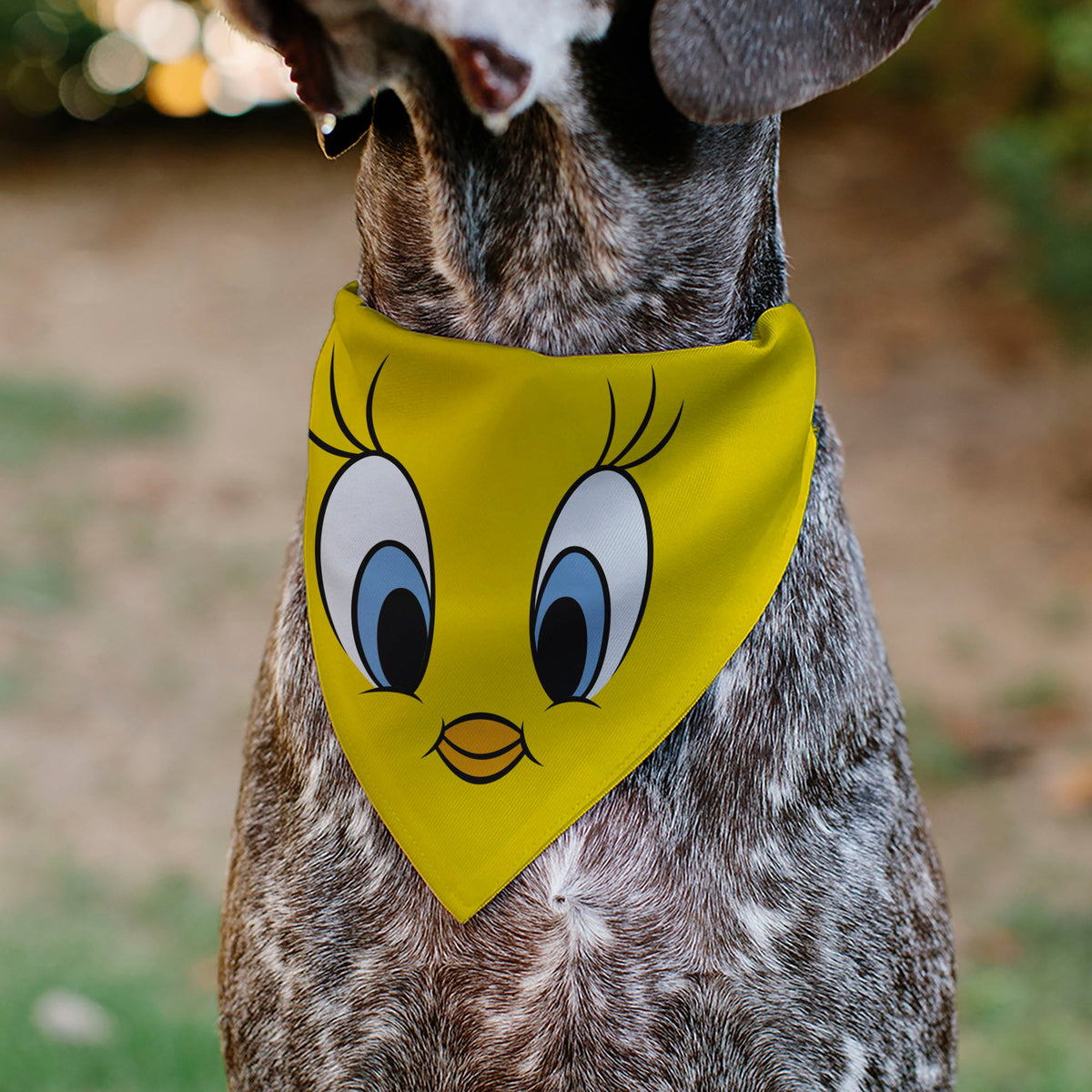 Pet Bandana - LOONEY TUNES Tweety Bird Face Close-Up Yellow