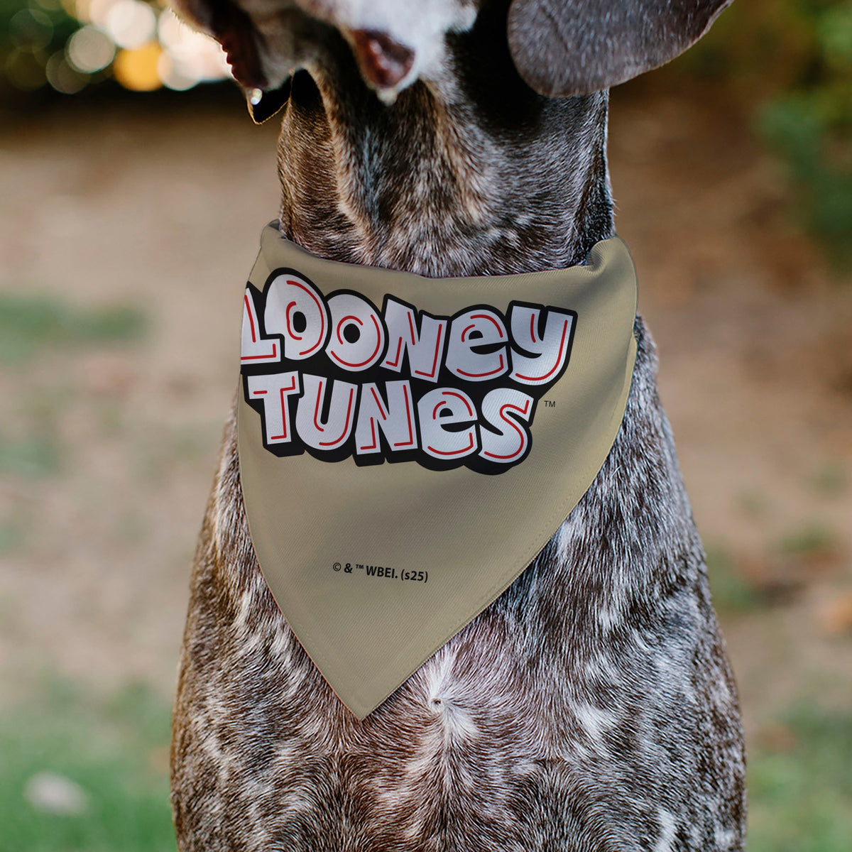 Pet Bandana - LOONEY TUNES Yosemite Sam Face Close-Up Tan