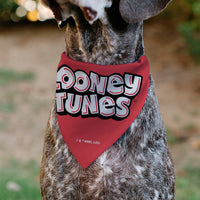 Pet Bandana - Bugs Bunny and Lola Bunny I EAR YOU LOVE ME Pose Hearts and Title Logo Reds