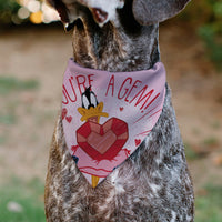 Pet Bandana - Daffy Duck YOU'RE A GEM Heart Pose and Title Logo Pink
