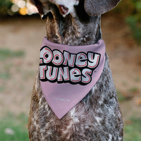 Pet Bandana - Daffy Duck YOU'RE A GEM Heart Pose and Title Logo Pink