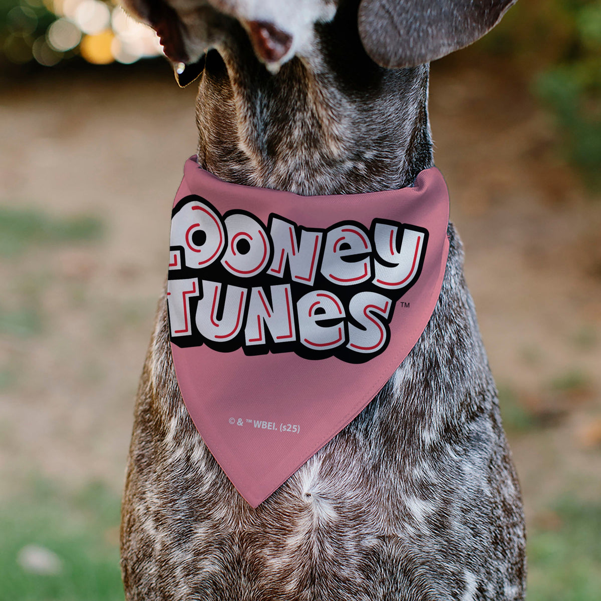 Pet Bandana - Tweety Bird BE MY CUPCAKE Sweets Pose and Title Logo Pink