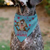 Pet Bandana - Taz Tasmanian Devil CRAZY IN LOVE Heart Pose and Title Logo Blue