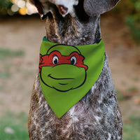 Pet Bandana - Ninja Turtles Raphael Face and Turtle Shell Character Close-Up Green