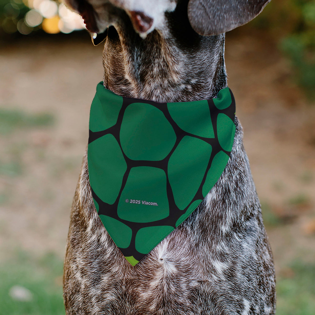 Pet Bandana - Ninja Turtles Raphael Face and Turtle Shell Character Close-Up Green