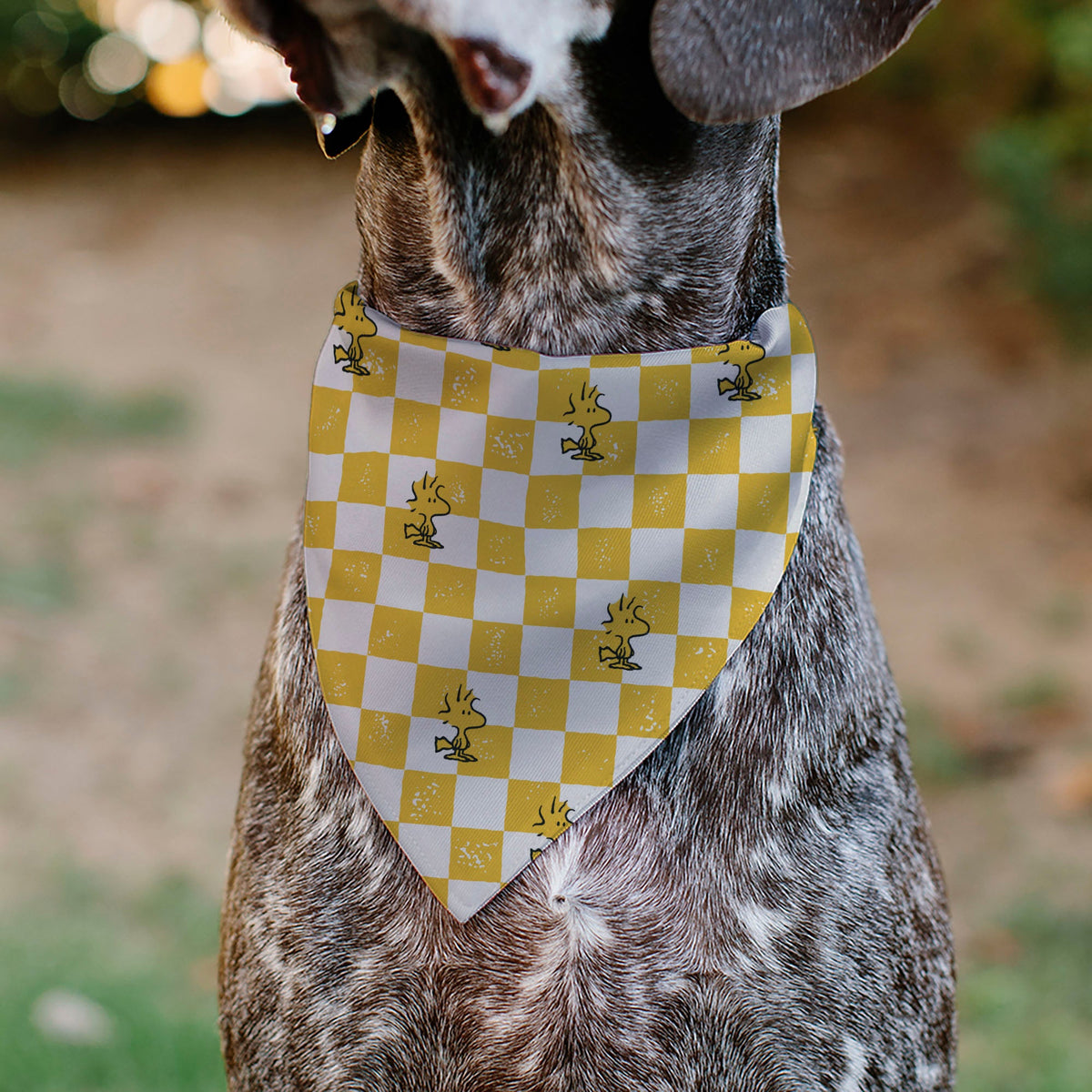 Woodstock Checker Pose Pet Bandana – Peanuts Fan Gear Yellow/White