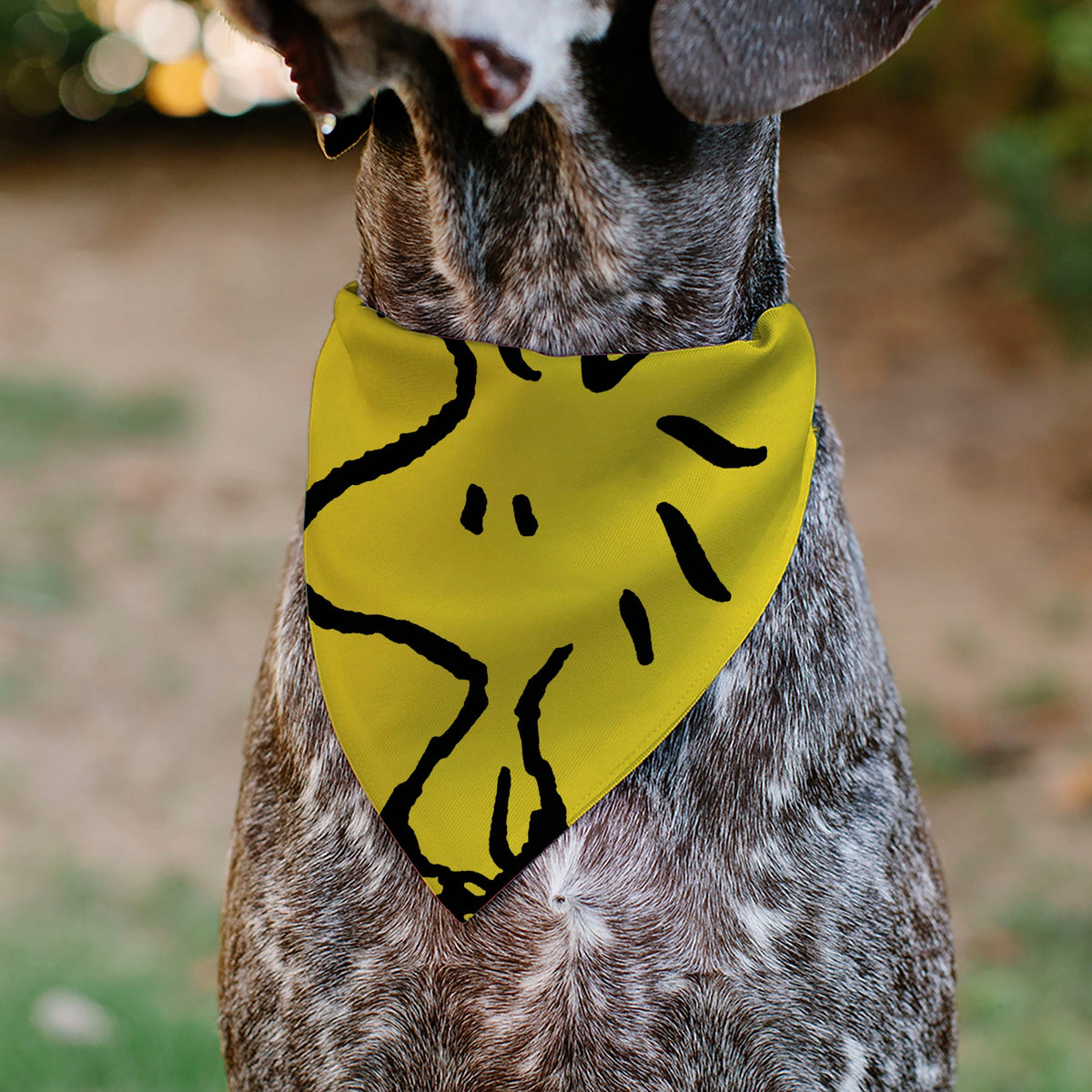 Woodstock Pose Pet Bandana – Peanuts Fan Gear Yellow