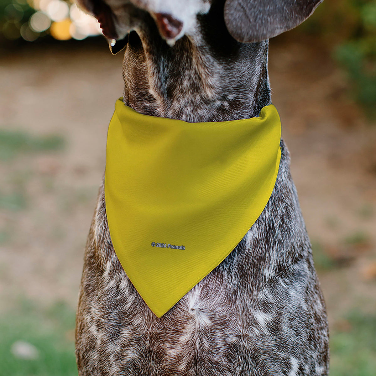 Woodstock Pose Pet Bandana – Peanuts Fan Gear Yellow