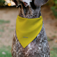 Woodstock Pose Pet Bandana – Peanuts Fan Gear Yellow