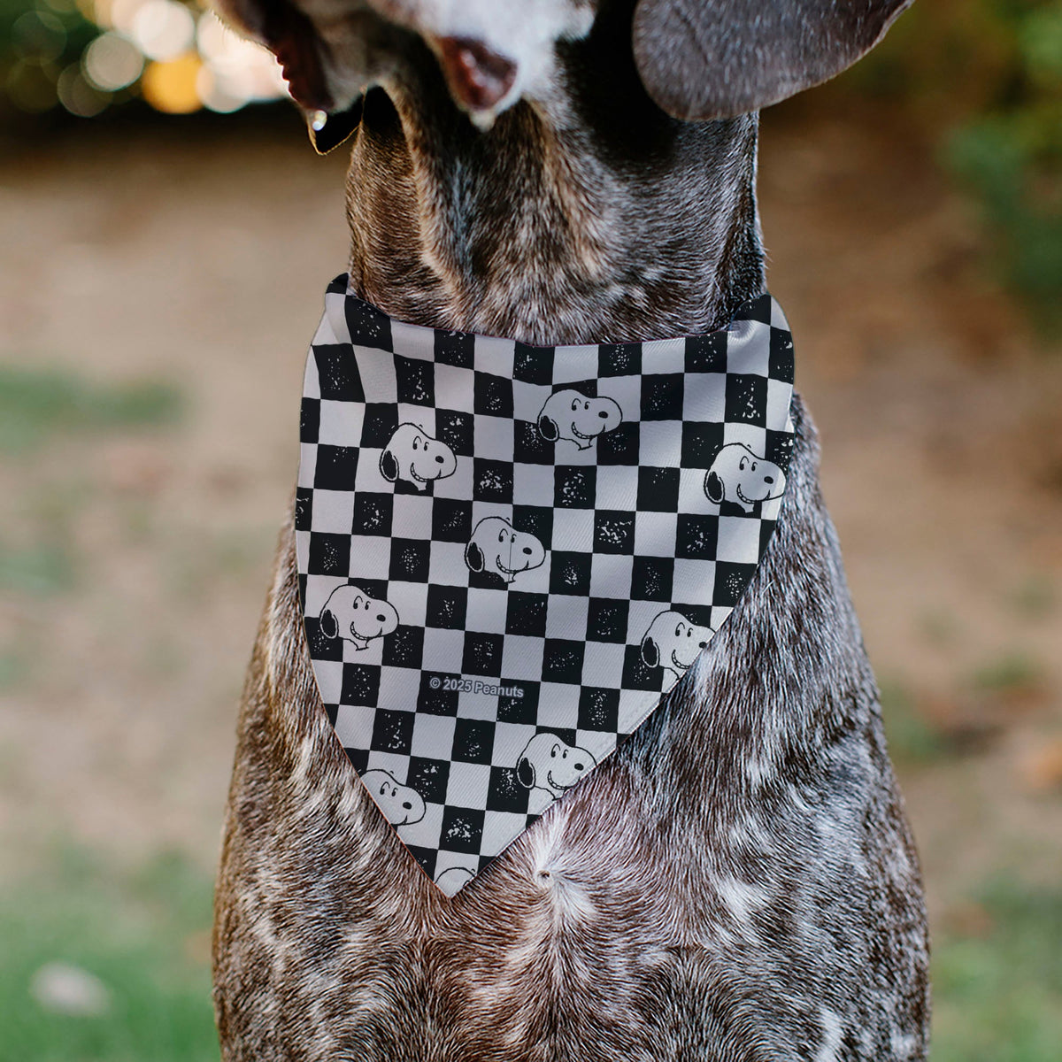Snoopy Smiling Face Checker Pet Bandana – Peanuts Fan Gear Black/White