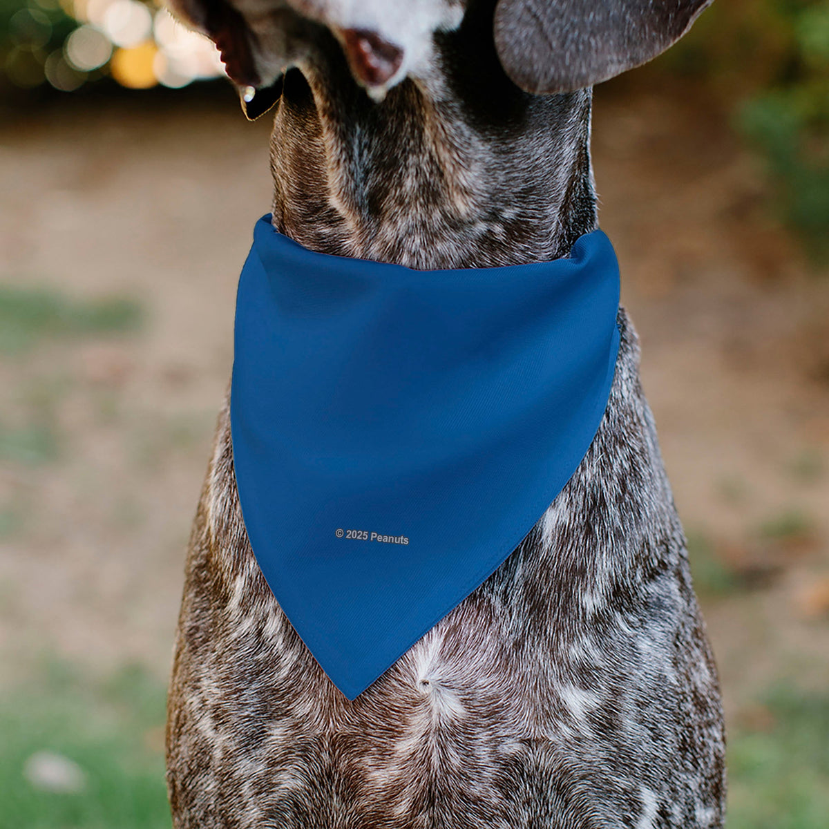 Pet Bandana - Peanuts Lucy van Pelt Smiling Face Pose Blue