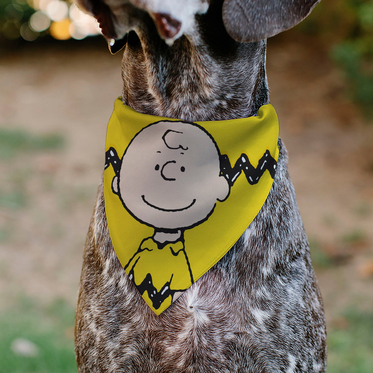 Charlie Brown Smiling Face Stripe Pet Bandana – Peanuts Fan Gear Yellow