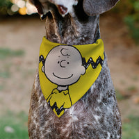 Charlie Brown Smiling Face Stripe Pet Bandana – Peanuts Fan Gear Yellow