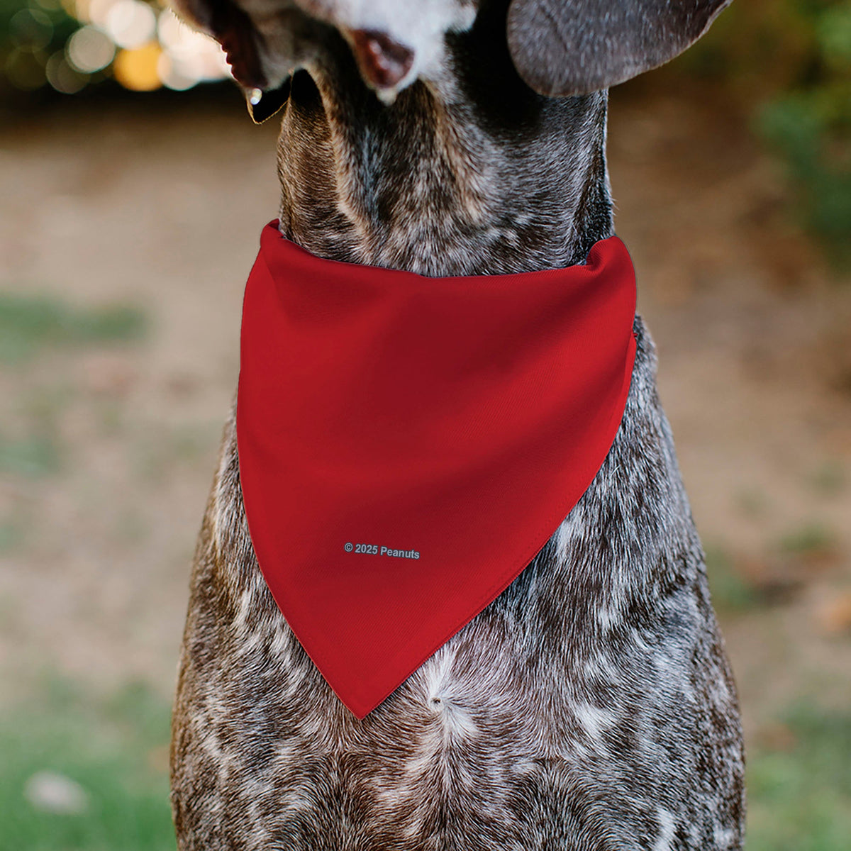 Snoopy Smiling Face Pet Bandana – Peanuts Fan Gear Red