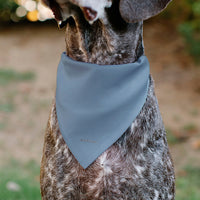 Snoopy Cowboy USA Pet Bandana – Peanuts Fan Gear Light Blue/Red/White