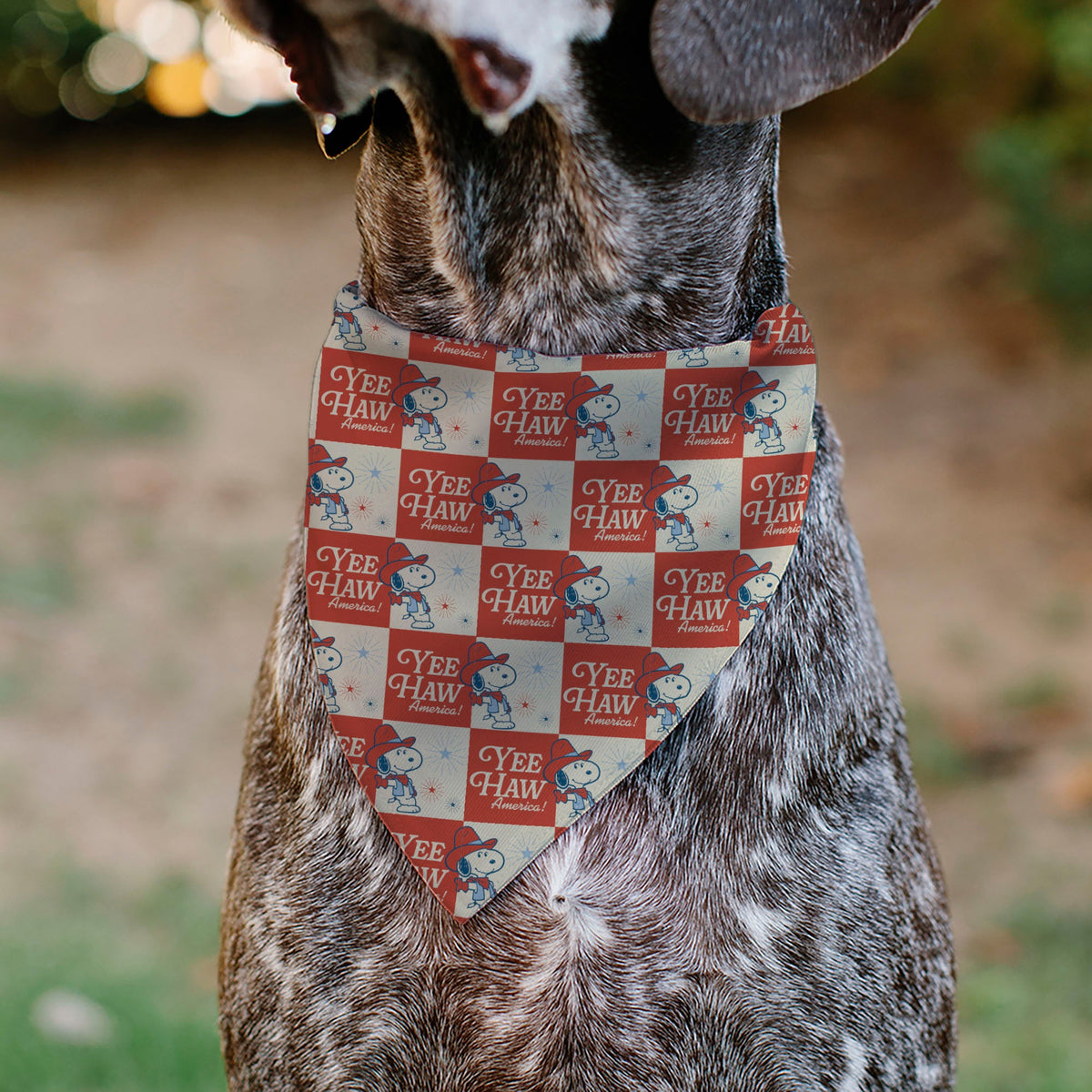 Snoopy YEE HAW America Checker Pet Bandana – Peanuts Fan Gear Ivory/Red/Blues
