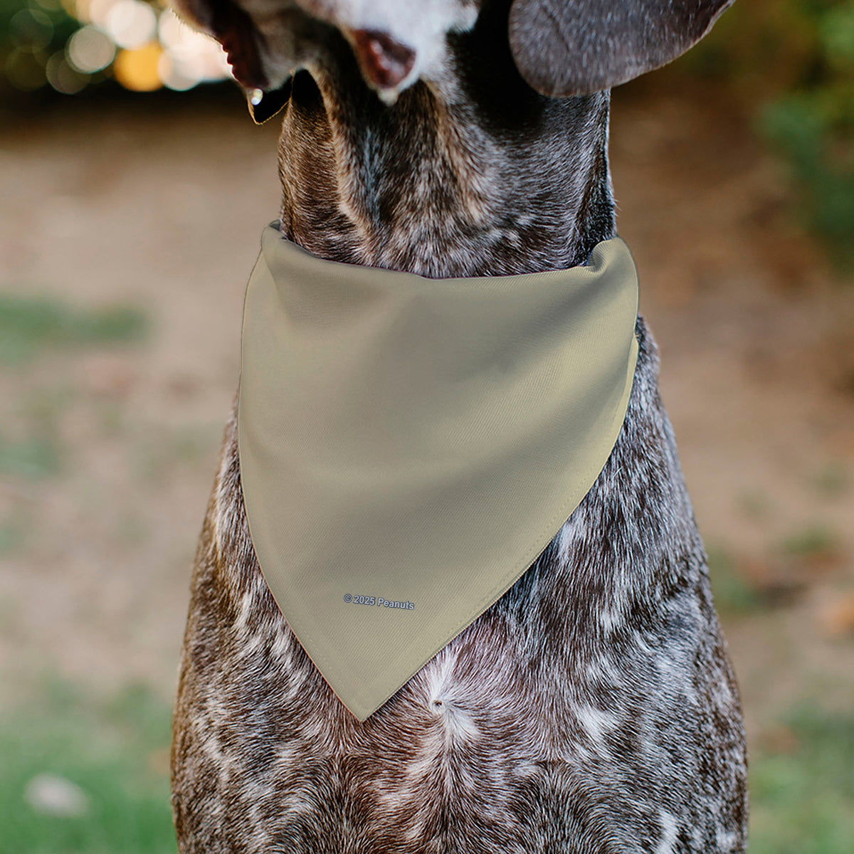 Snoopy All American Rodeo Club Pet Bandana – Peanuts Fan Gear Beige/Red/Blues