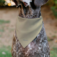 Snoopy All American Rodeo Club Pet Bandana – Peanuts Fan Gear Beige/Red/Blues
