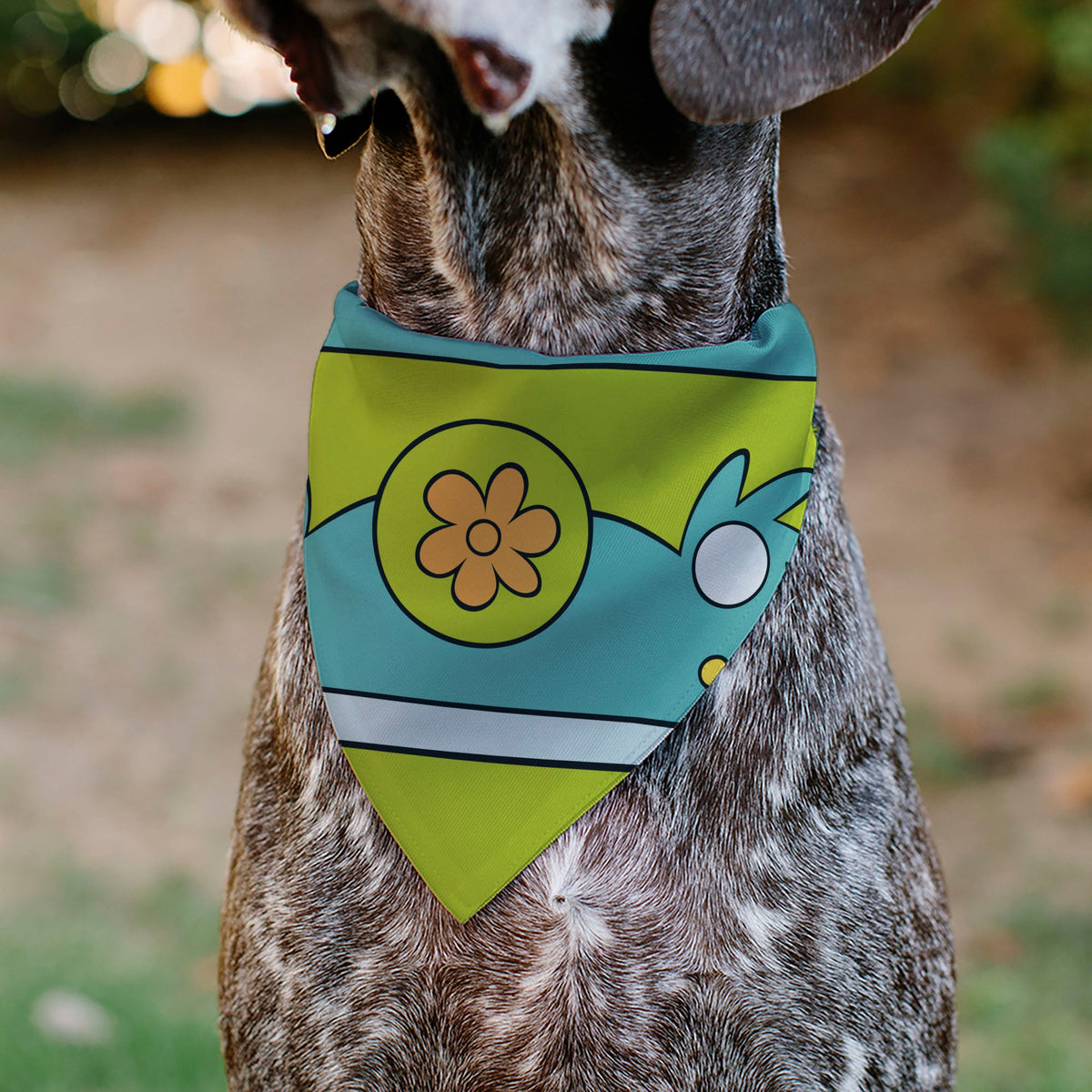 Pet Bandana - Scooby Doo THE MYSTERY MACHINE Logo Blues/Yellow/Orange