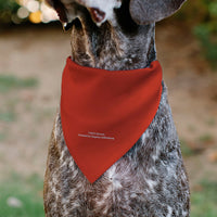 Pet Bandana - SpongeBob SquarePants Mr. Krabs Character Close-Up Red
