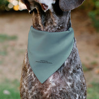 Pet Bandana - SpongeBob SquarePants Squidward Character Close-Up Blue