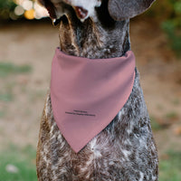 Pet Bandana - SpongeBob SquarePants Patrick Star Character Close-Up Pink