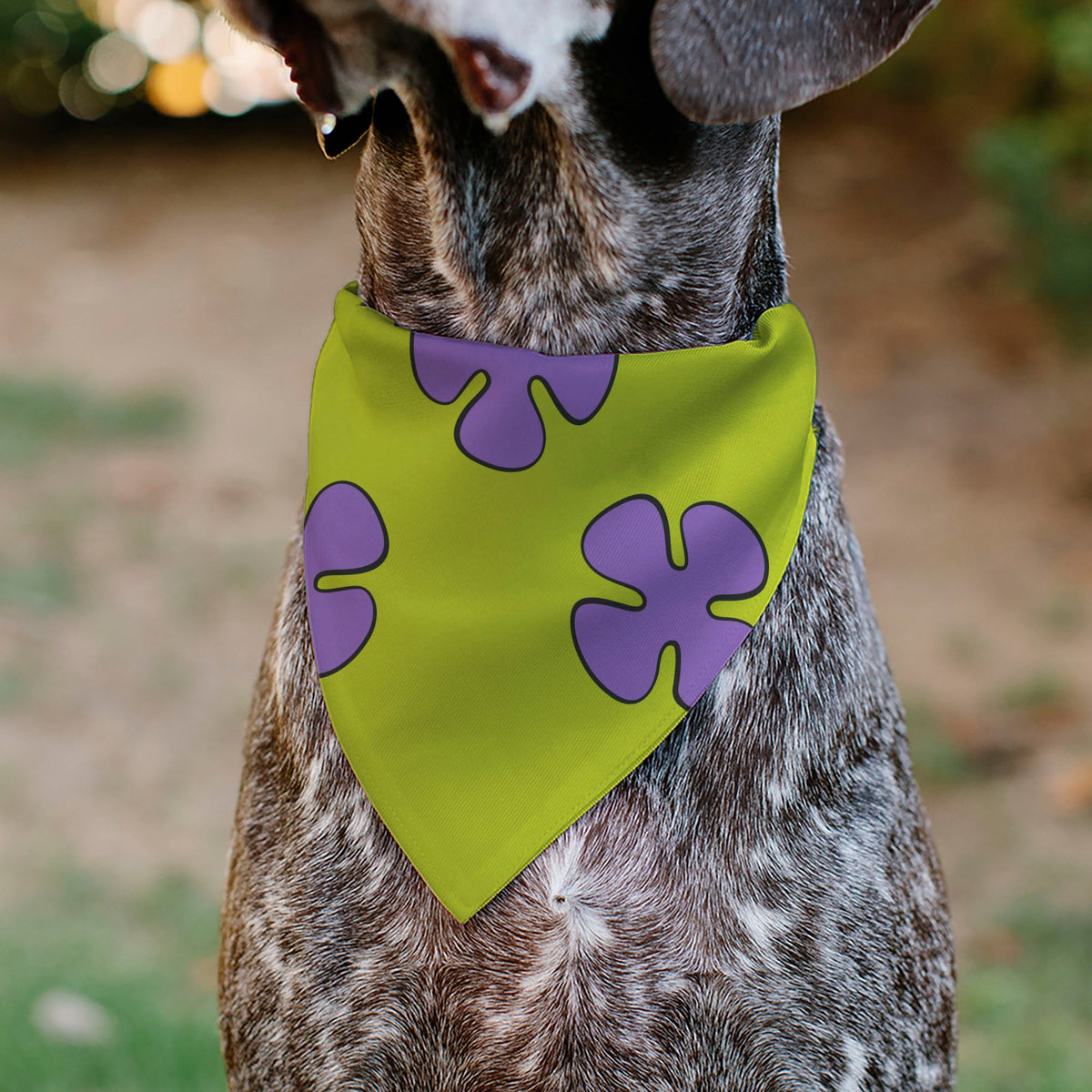 Pet Bandana - Patrick Star Shorts Flower Icon Green/Lavender